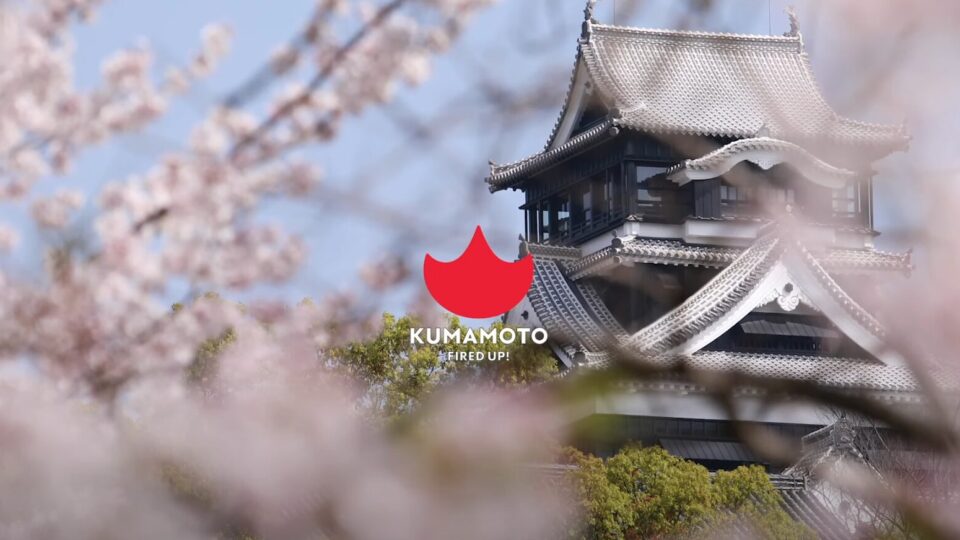 熊本県　FIRED UP! KUMAMOTO Cherry Blossoms at Kumamoto Castle