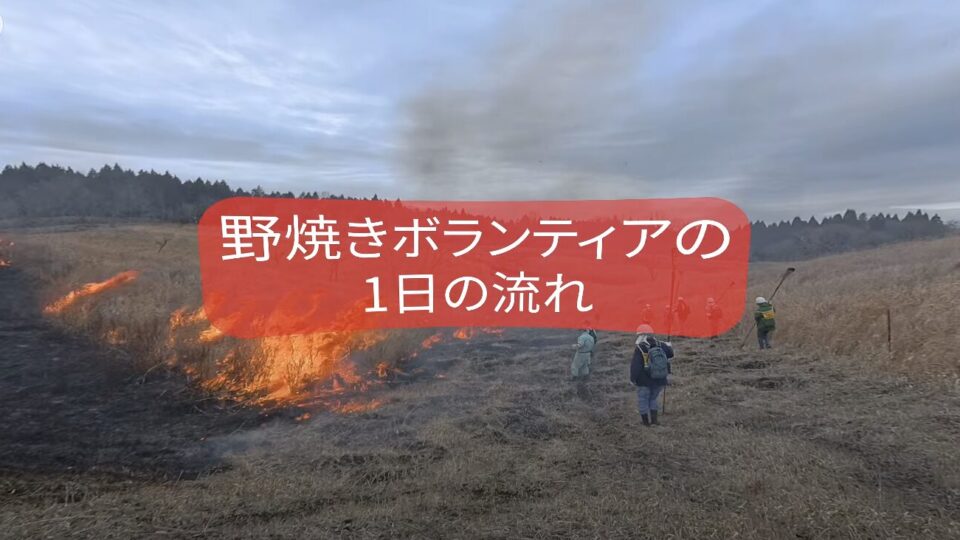 【熊本・阿蘇】グリーンストック 野焼きボランティア 360VR動画（8K）｜活動の全貌を伝える没入型映像